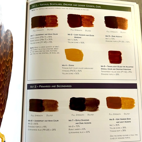 The Illustrated Bald Eagle by Denny Rogers Softcover Book EXC - Picture 13 of 16